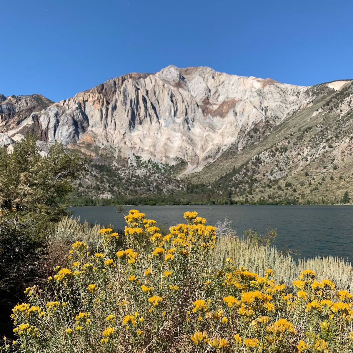 1 Method Outpatient Addiction Treatment - Photo 6