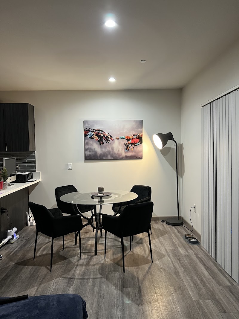 Lucid Recovery - Photo 4