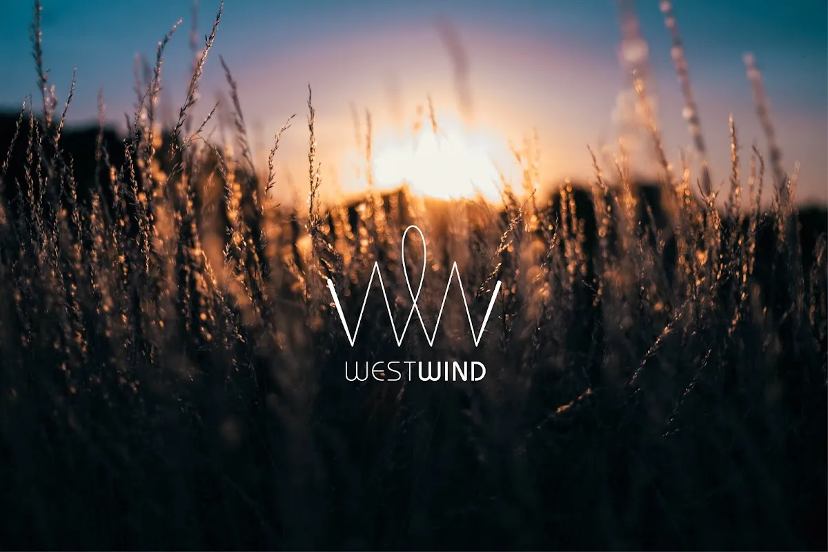 Westwind Recovery Sober Living