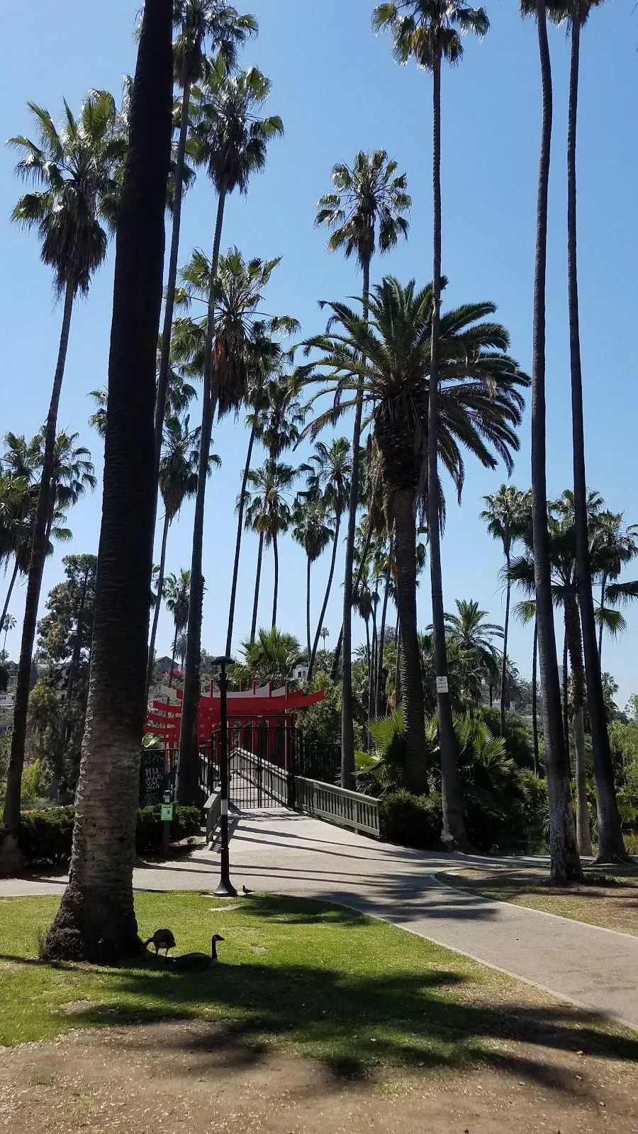 Dream Center Foundation - Photo 5