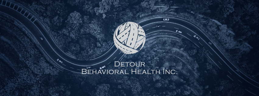 Detour Transitions - Photo 2