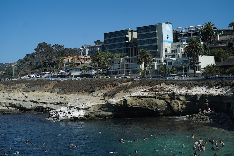 La Jolla Recovery - Photo 4