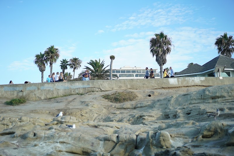 La Jolla Recovery - Photo 5