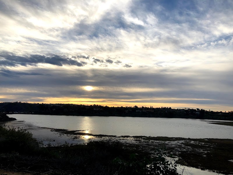 Bold Recovery - Photo 4