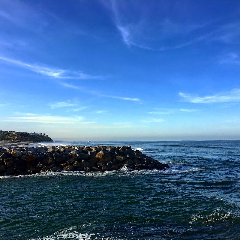 Bold Recovery - Photo 5