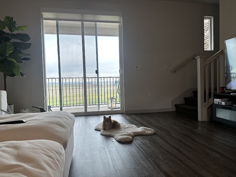 Roseville Campus - Photo 2