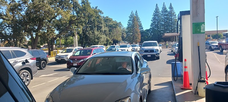 Ryse Above / Stanford Sierra Youth & Families - Photo 2